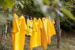 Easy Camp Edendale 600 Tunneltent 6 Persoons - Grijs 33 Easy Camp Edendale 600 Tunneltent 6 Persoons - Grijs -Online Camping Winkel 1267 1900 waslijn 1 1