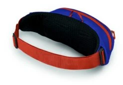 Osprey Daylite Heuptas - Blauw/Oranje 11 Osprey Daylite Heuptas - Blauw/Oranje -Online Camping Winkel 1900 1425 daylitewaist s23 sideback silverliningblueberry 10005144