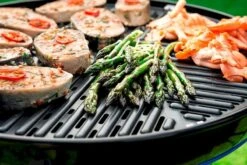CADAC Carri Chef 50 Gasbarbecue - BBQ/Skottel -Online Camping Winkel 801 1200 carri chef 50 bbq grid