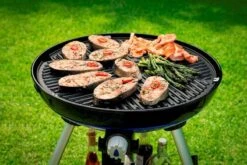 CADAC Carri Chef 50 Gasbarbecue - BBQ/Skottel -Online Camping Winkel 801 1200 carri chef 50 bbq grid 2