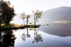 Amazonas Silk Traveller 1 Persoons Reishangmat - Techno 11 Amazonas Silk Traveller 1 Persoons Reishangmat - Techno -Online Camping Winkel a181 16 op 01 resultaat