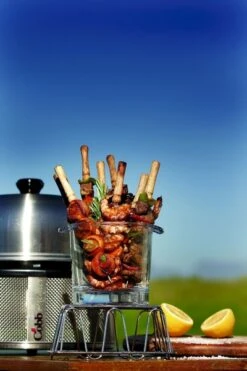 Cobb Pro Premier Air Houtskoolbarbecue - Grijs -Online Camping Winkel cobb premier 3 1