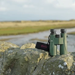 Kowa BDII XD Verrekijker - 10x32 Mm -Online Camping Winkel kowa bdii xd verrekijker 6 5 x 32 11