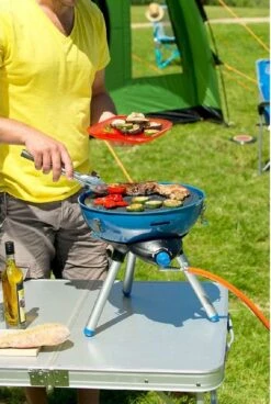 Campingaz Party Grill 400 Gasbarbecue -Online Camping Winkel lif 2000023718 16 resultaat
