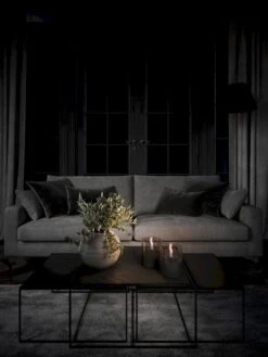 Tenderflame Lilly 10 Tafelhaard - Zwart -Online Camping Winkel lilly 10 glass black 1 op maat 3 1