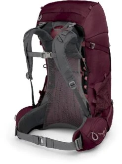 Osprey Renn Backpack - 50 Liter - Paars -Online Camping Winkel osprey renn 50 paars 4